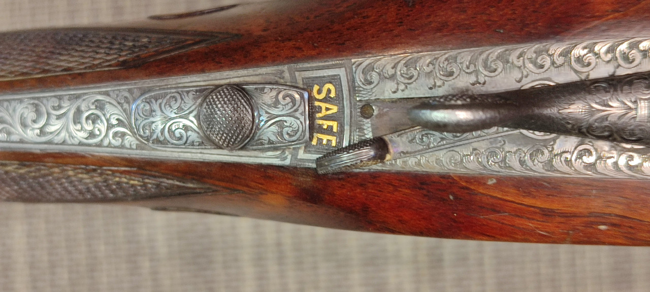 [Linked Image from i.postimg.cc]