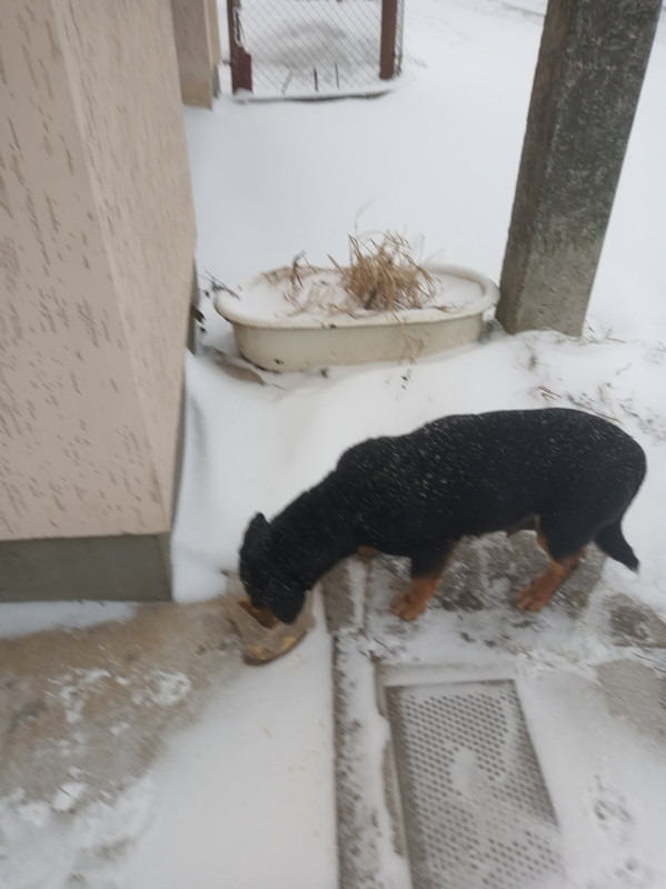 DBF31B1C-72A5-4F3A-B086-6C2370CE09C7