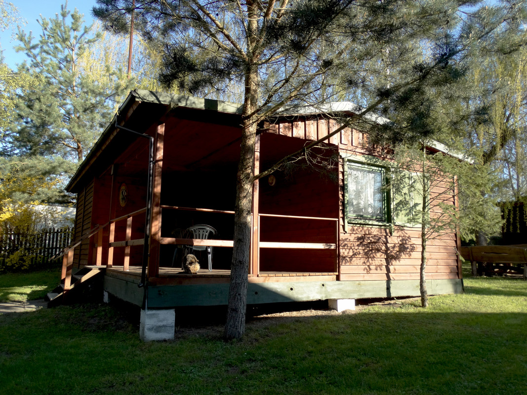 01.04 - DSC06723 (Czesio1)