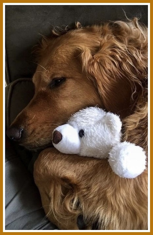 0FC454F2-26CF-40BC-9A76-62580F37B910