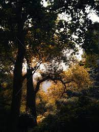 [Image: 10.jpg]