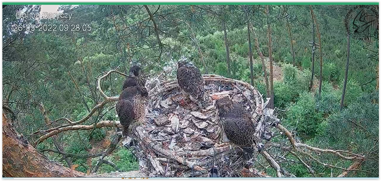 Screen Shot 05-26-22 at 08.54 PM