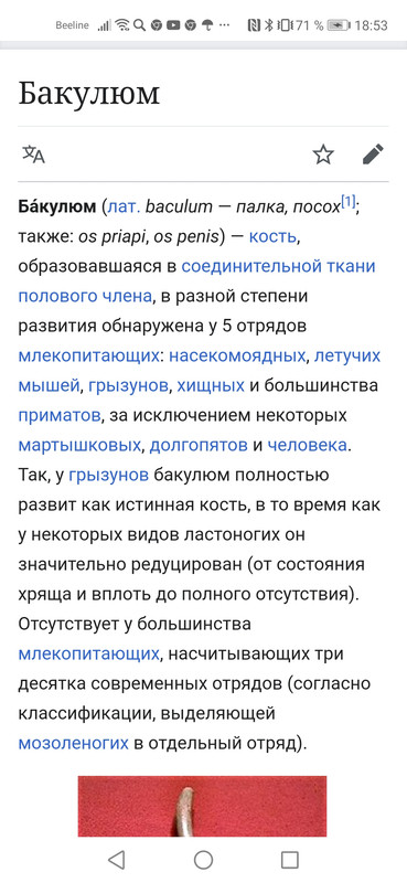 Screenshot_20210108_185303_com.huawei.browser