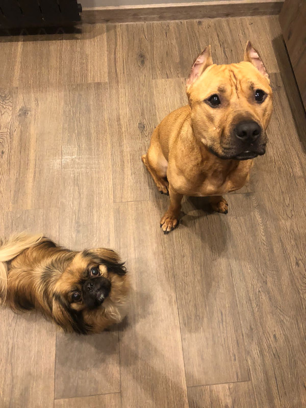 9ACA1808-7C11-4AFD-B02D-EEDF9315D6E6