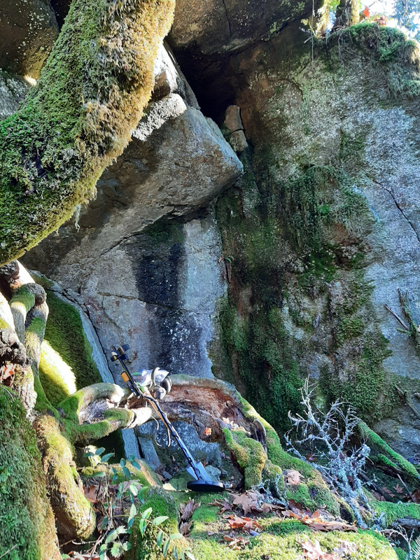 20201204_123733 (1)