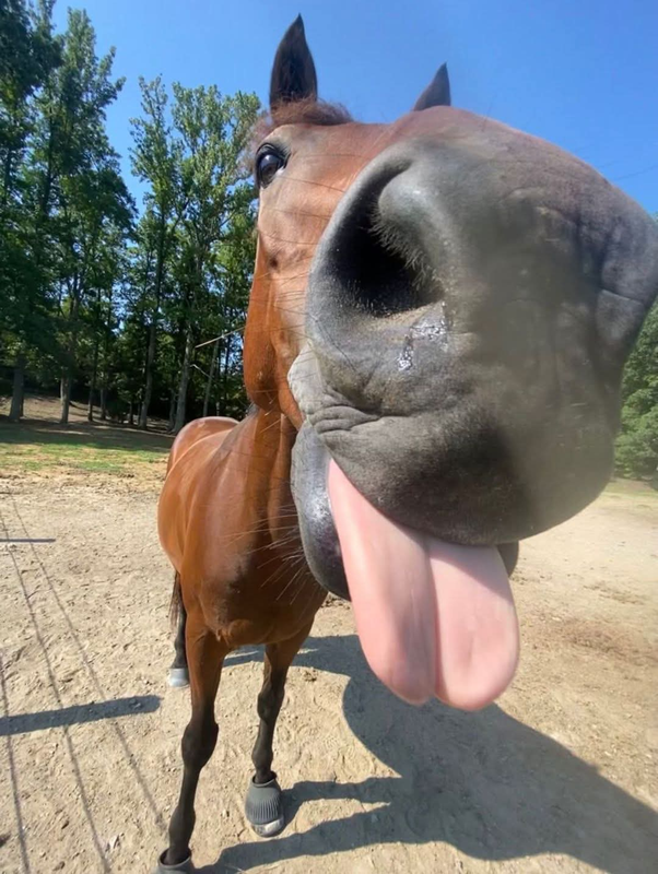 [Obrazek: image.png]