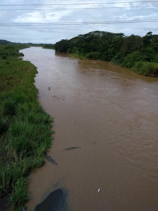 Costa Rica. San Jose + Jaco + Limon. Приключения Идиота.