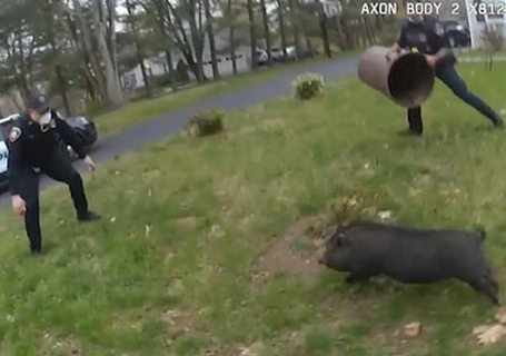 Police-Chase-fast-and-furious-Runway-Pig