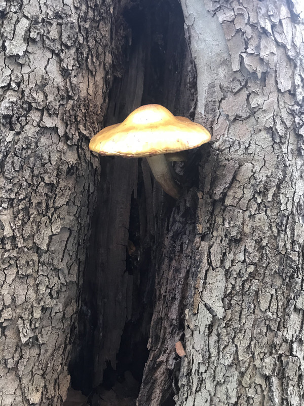 9C3B5C05-986C-4B77-B1FE-5D641BFE6B36