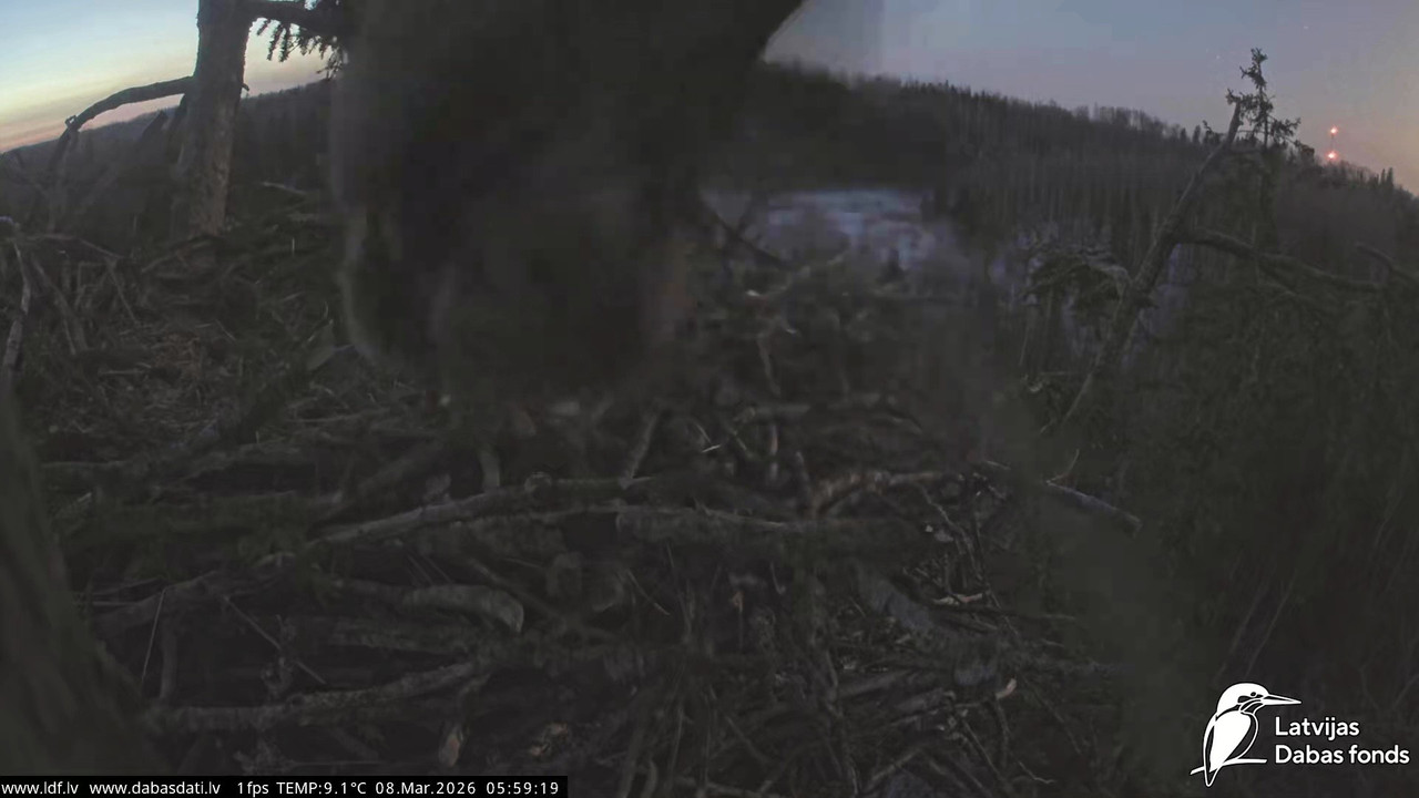 vlcsnap 2026 03 08 05h05m15s260