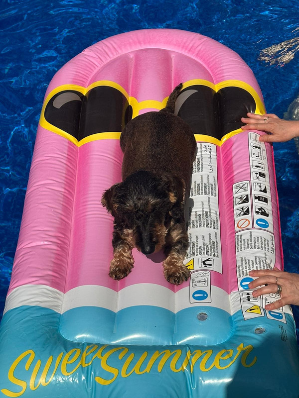 [Image: fa75ca40-961c-4f14-8302-e5c76b527199.jpg]