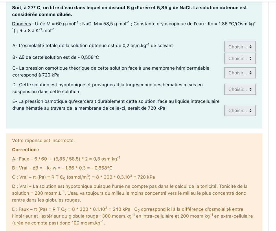 Capture d’écran 2022-03-05 à 16.57.10