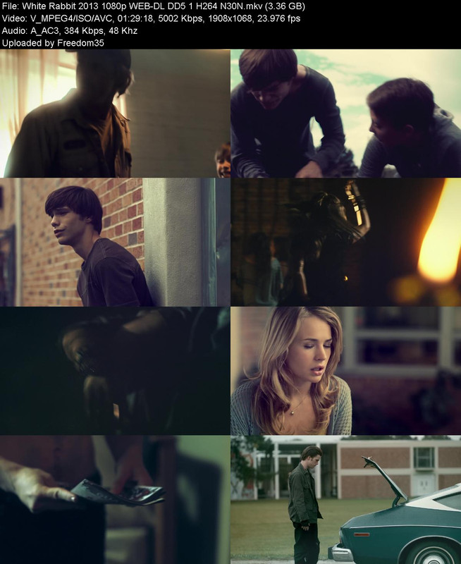 White-Rabbit-2013-1080p-WEB-DL-DD5-1-H26