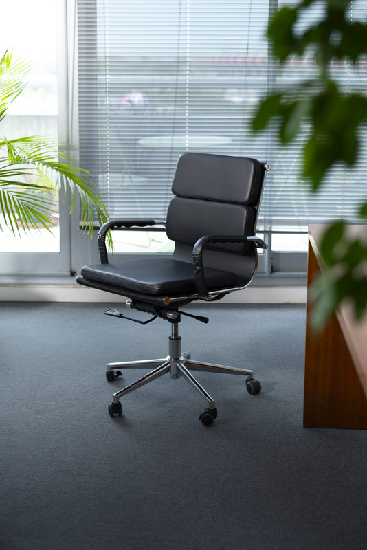 Ergonomic Office Chair