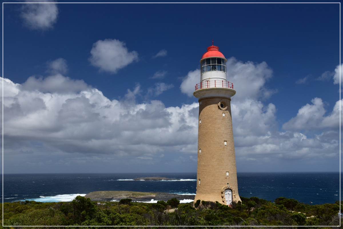 Australia (I): toma de contacto - Blogs de Australia - Kangaroo Island (34)