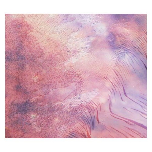 Variant-while-the-universe-sleeps-QD50-16BIT-WEB-FLAC-2026-ENRi-CH.jpg