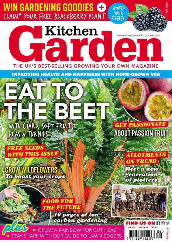 Kitchen-Garden-June-2020.jpg