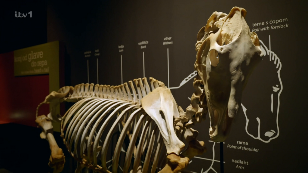 [Image: h2d4um70iowq.png]