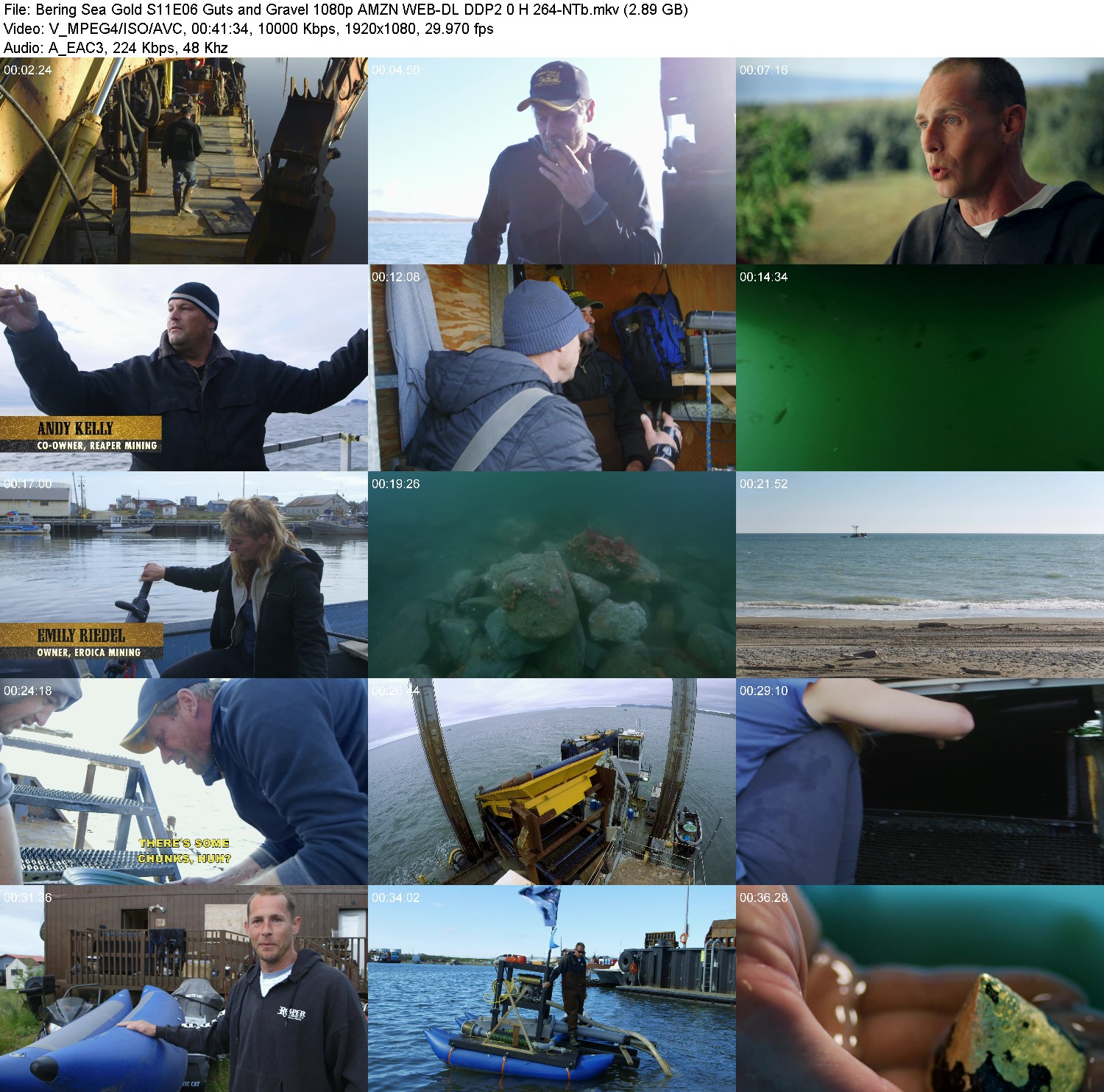 [Image: hg68wfz58gnl.jpg]