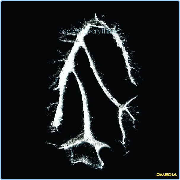 [Image: v7626tluwfyr.png]