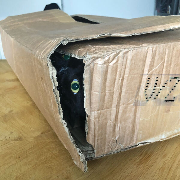 [Image: ei9tb5u7ehq8.jpg]