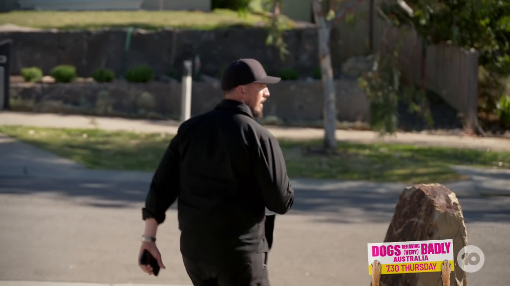 [Image: dz3ntsjqx478.png]