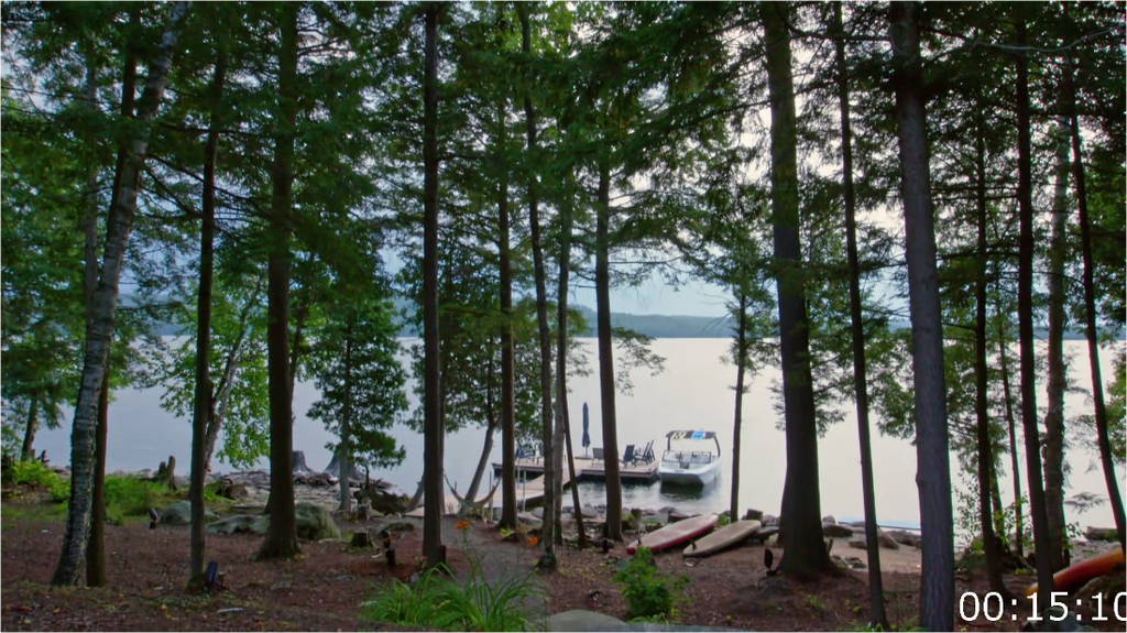 [Image: 1h7nvkxqs05v.png]