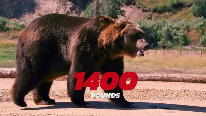 [Image: 998ewhzjehq7.jpg]