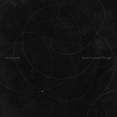 Steve Bicknell - Several Streams Of Thought (2025)
