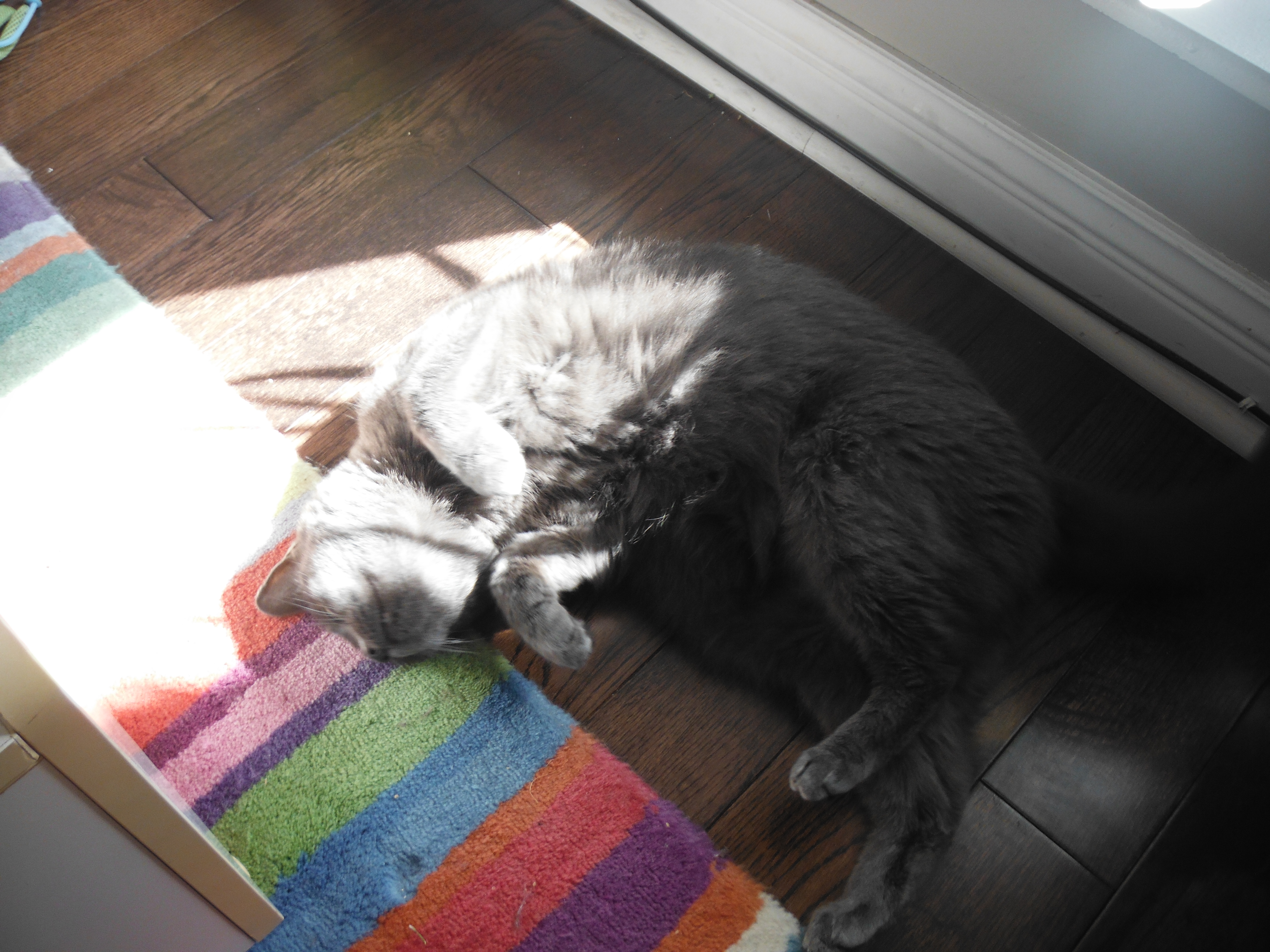DSCF6085.jpg