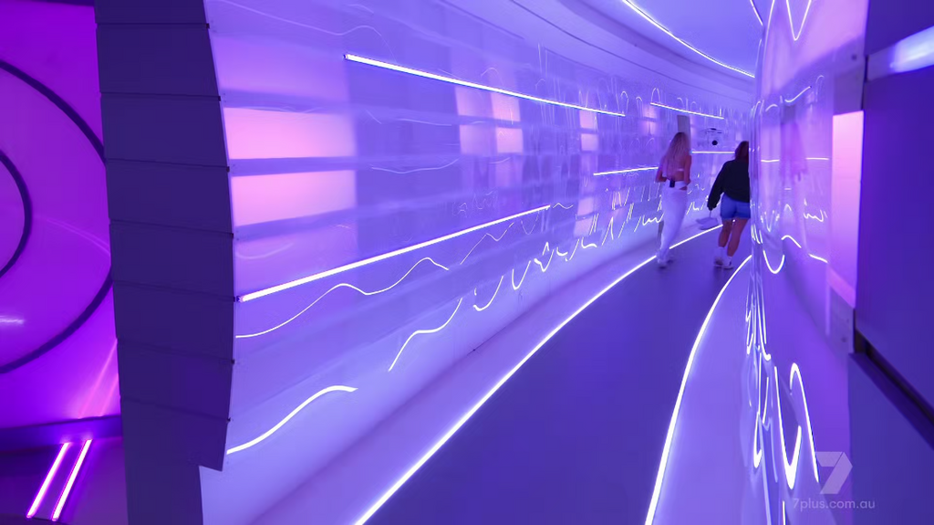 [Image: t84lu6k4xghz.png]