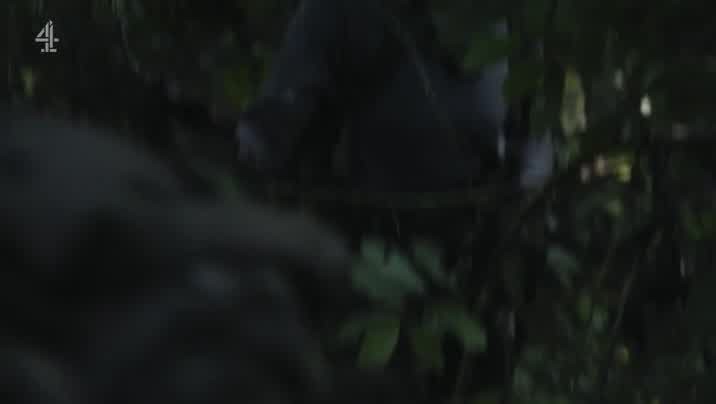 [Image: keu504gbcdw7.jpg]