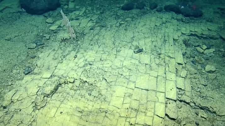 [Image: by73d0lfq9ha.jpg]