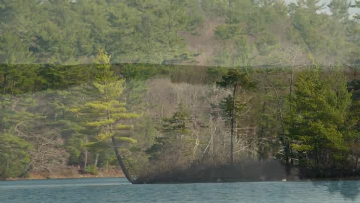 [Image: 76buz4mpo0mb.jpg]