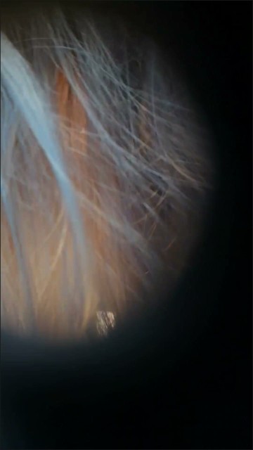 [Image: Dressing82070515151720260428.jpg]