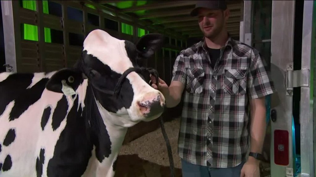 [Image: 5zrg60kaco0k.jpg]