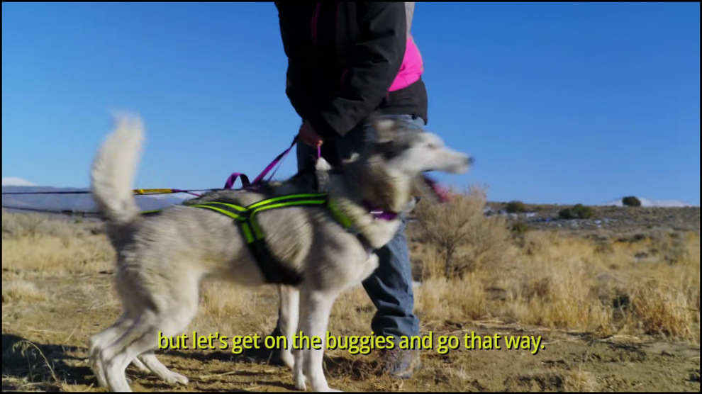 [Image: qi6on6l0a0mw.png]