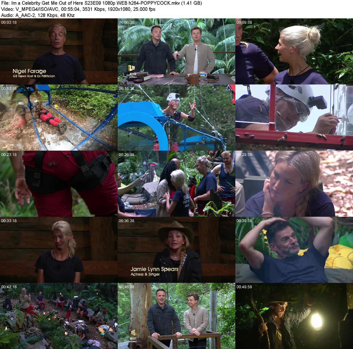 [Image: ex8n8arfam93.jpg]