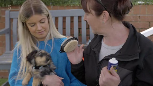 [Image: 6yyogx0zo2e8.png]