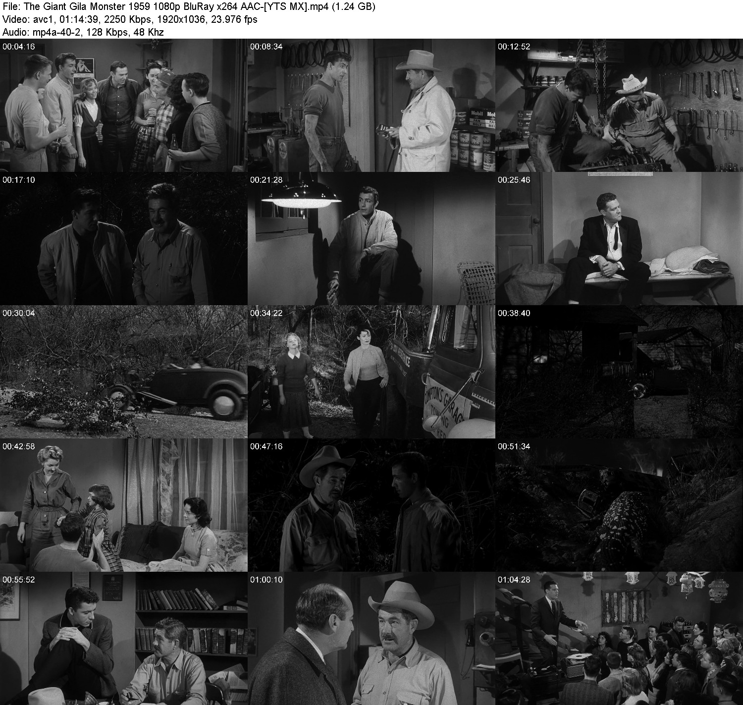 [Image: fhf3m5f0ple5.jpg]