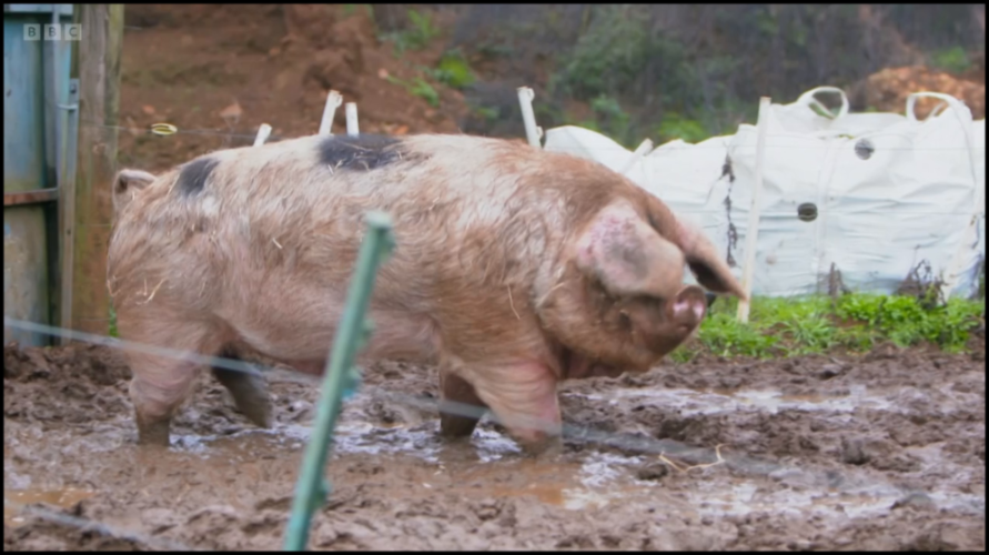 [Image: 4382xsjeewfc.png]