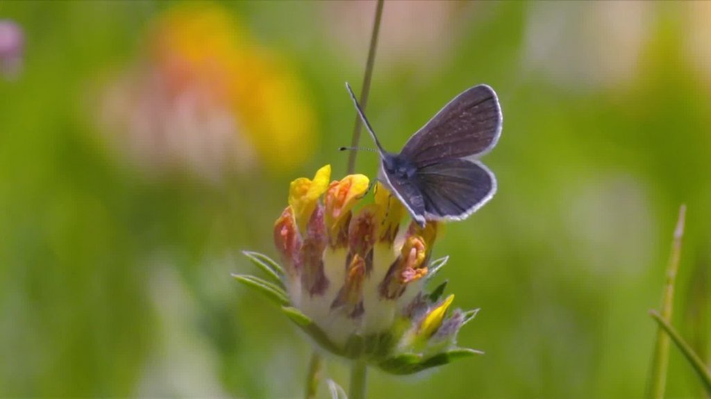 [Image: 5ovhkt8y1p5r.jpg]