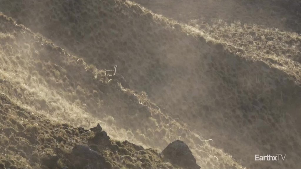 [Image: jjsg1v3i7sg5.jpg]