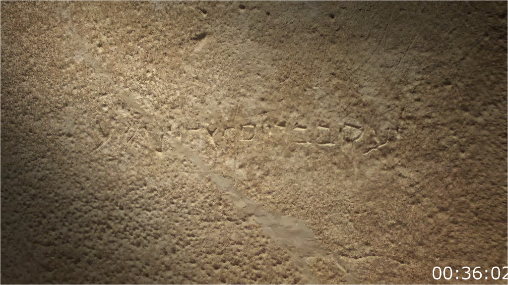 [Image: 2ypdkut76j1o.png]