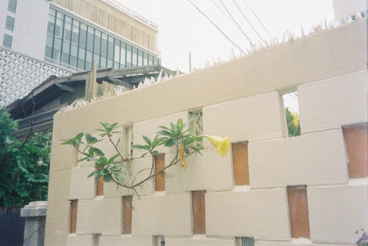 Kodak-UMHF-64-resize