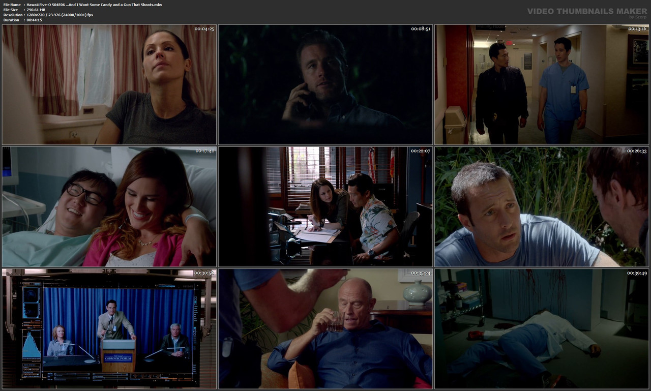Hawaii Five-O S04E06 ...And I Want Some Candy and a Gun That Shoots.mkv