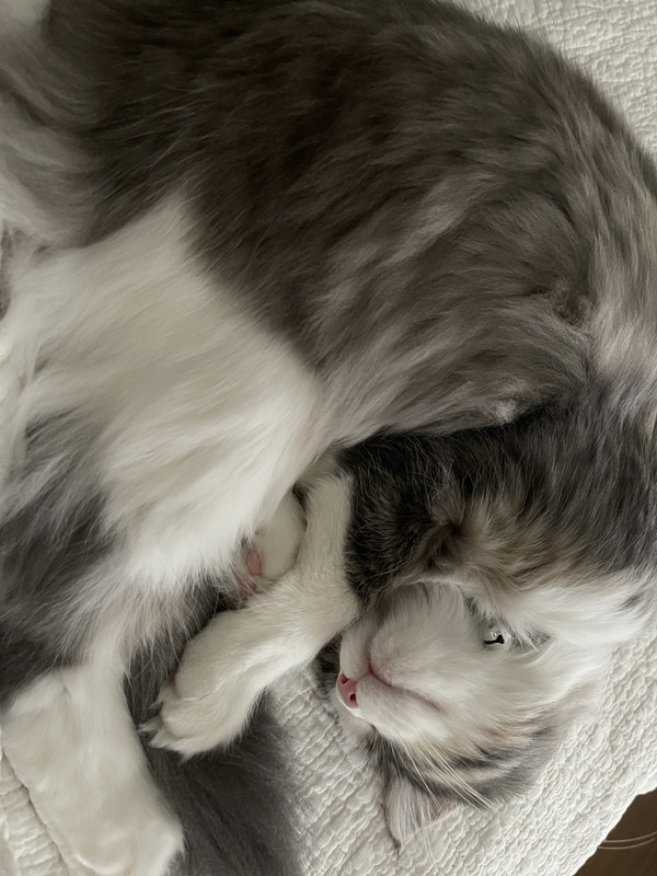 E2A4A3F7-0509-4F60-8831-5B937C322EB7