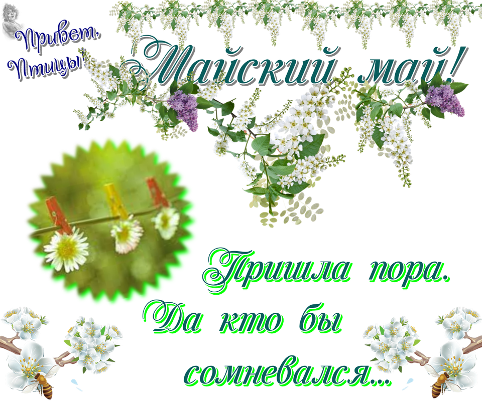 https://i.postimg.cc/Qt0QGJ0d/01-05.png