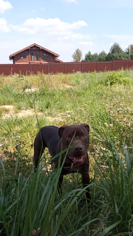 CC51348C-E974-465A-8359-53259435C7F5