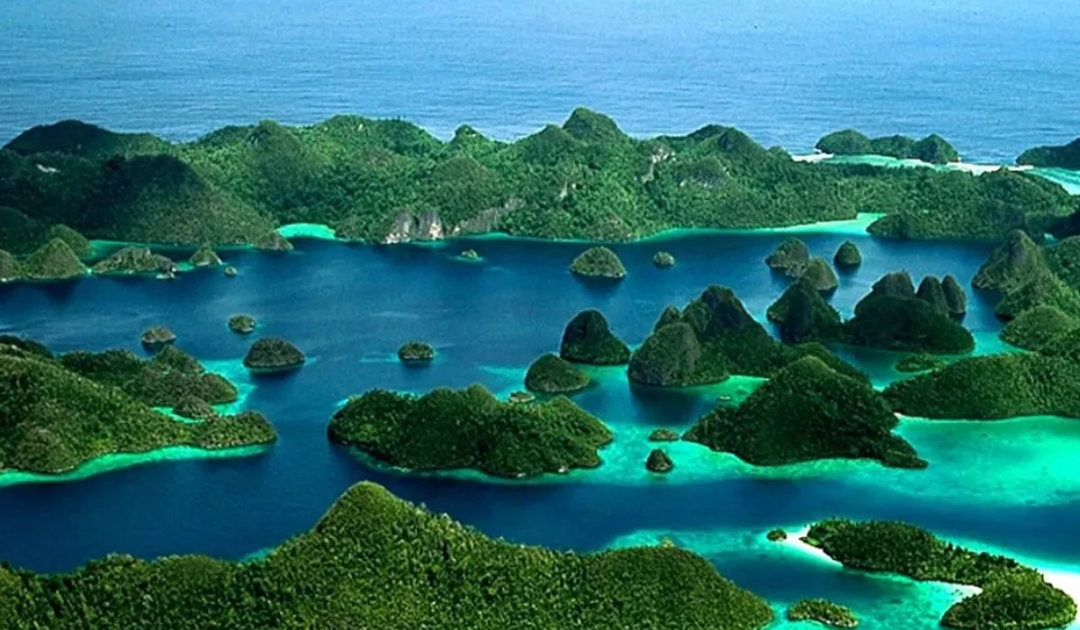 Menjelajah Keindahan Laut Indonesia, Surga Bawah Air Dunia